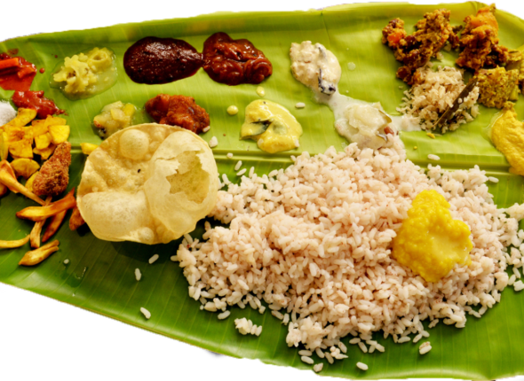 Sadhya_DSW